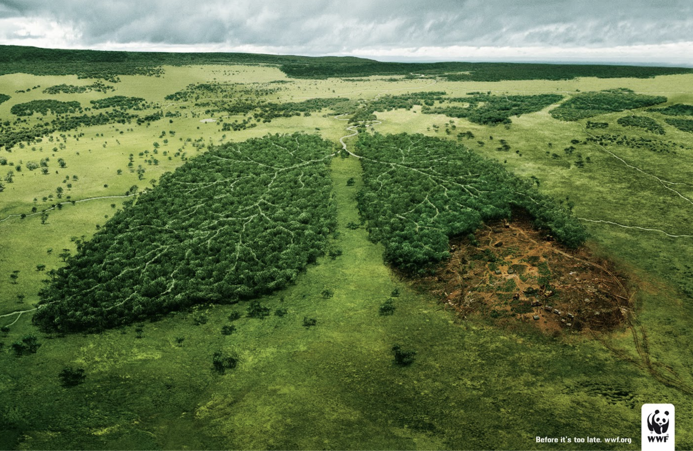 This image represents visual rhetoric because it is demonstrating through the image that by cutting down trees we are killing our source of oxygen.