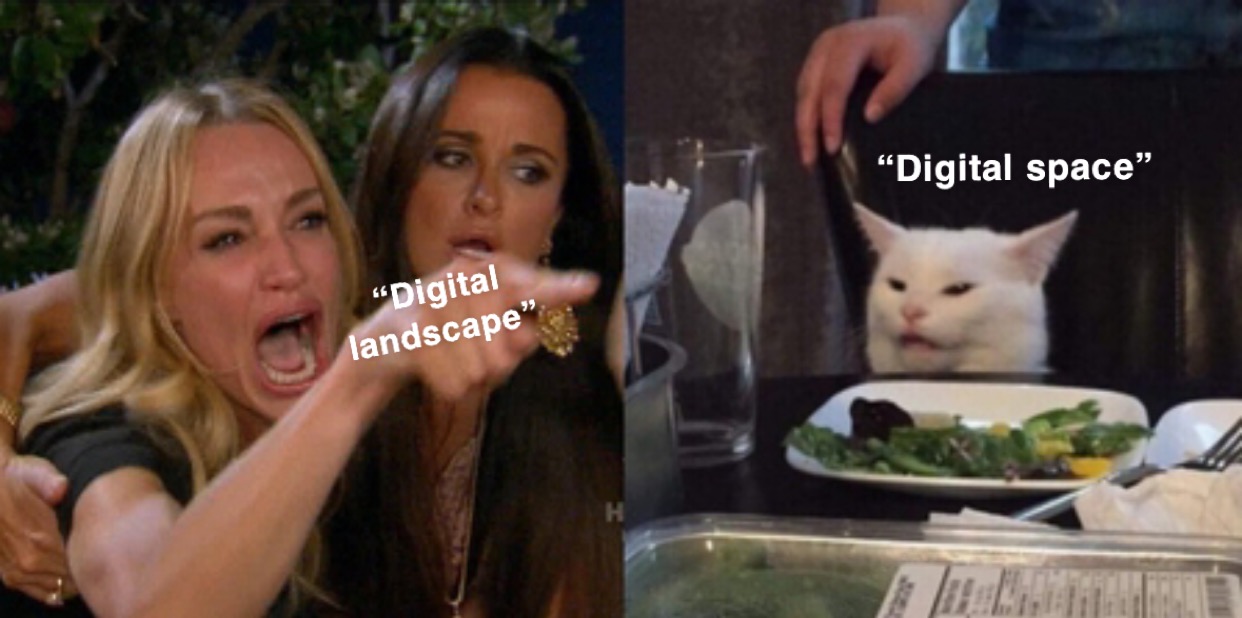 A blonde woman yells at a relaxed cat sitting at a table at the restaurant. The text "digital landscape" is on the woman's pointed hand, while the words "digital space" is above the cat's head.