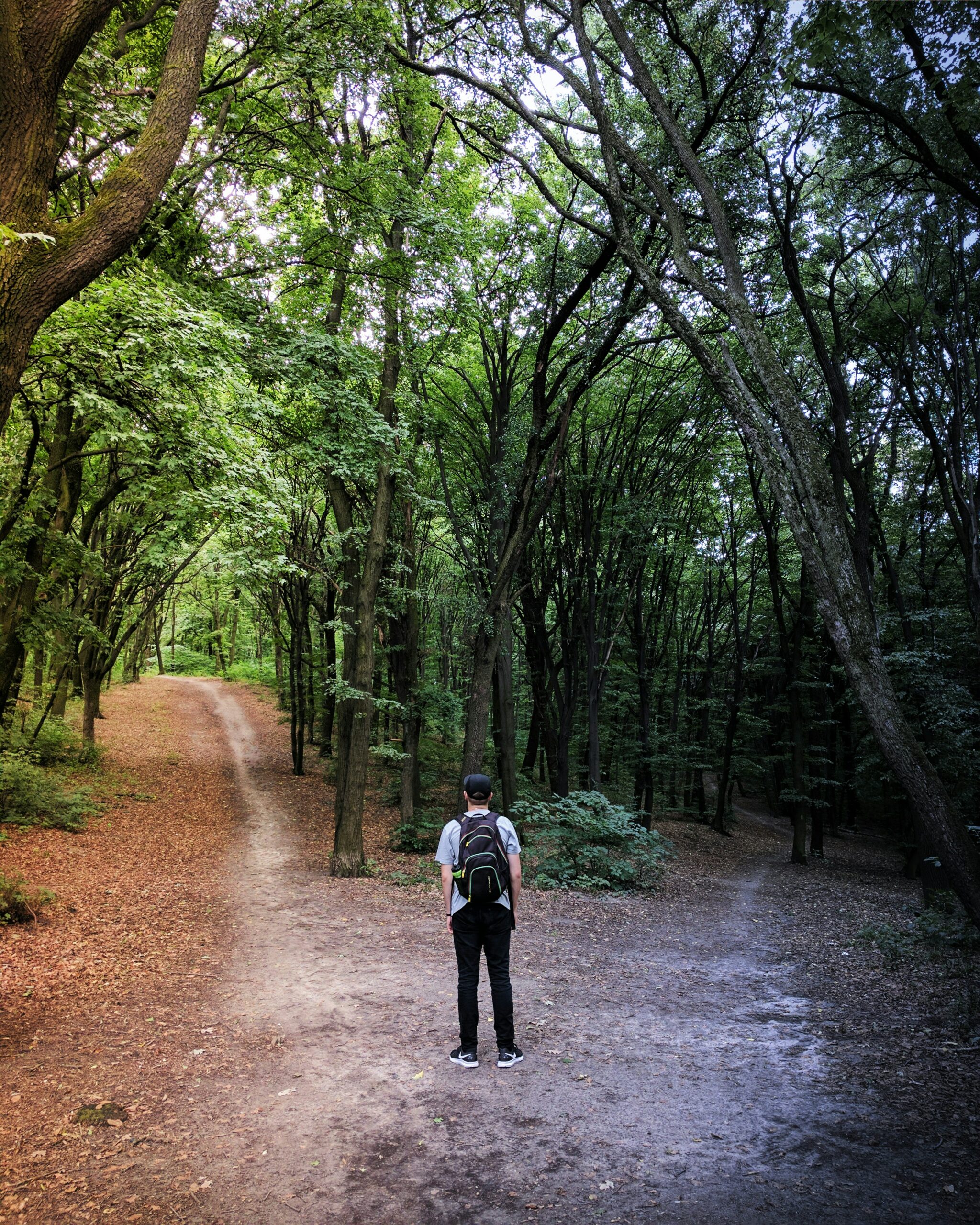 image of a man standing between two paths in the woods.