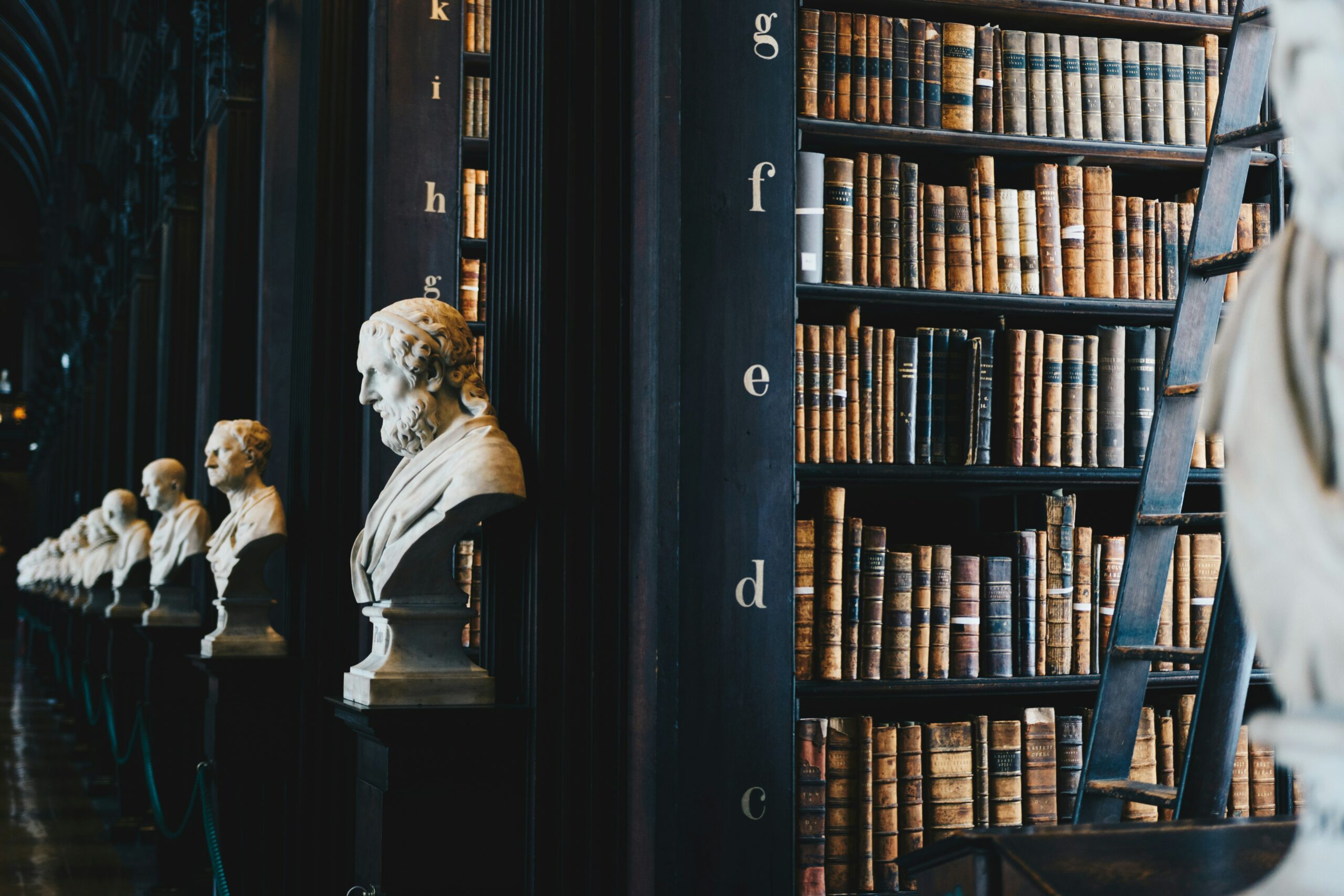 dark academia library with small stone portrait statues of scholars