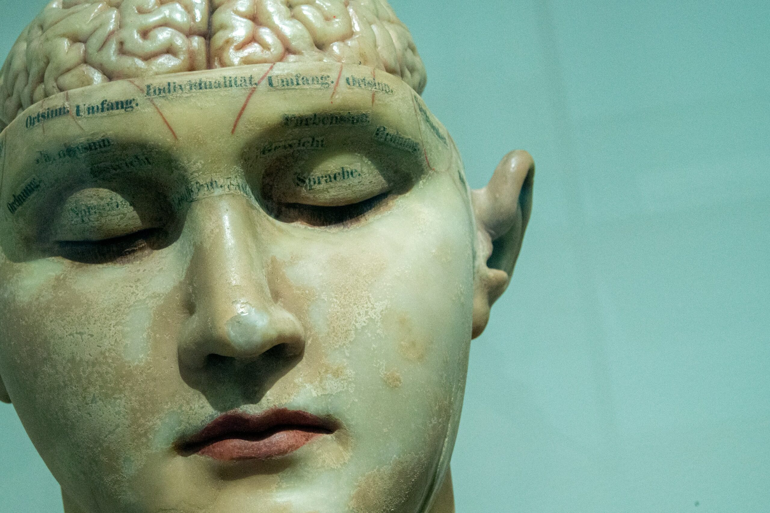 close up of realistic sculpture of human face with words written on forehead and brain sticking out from top