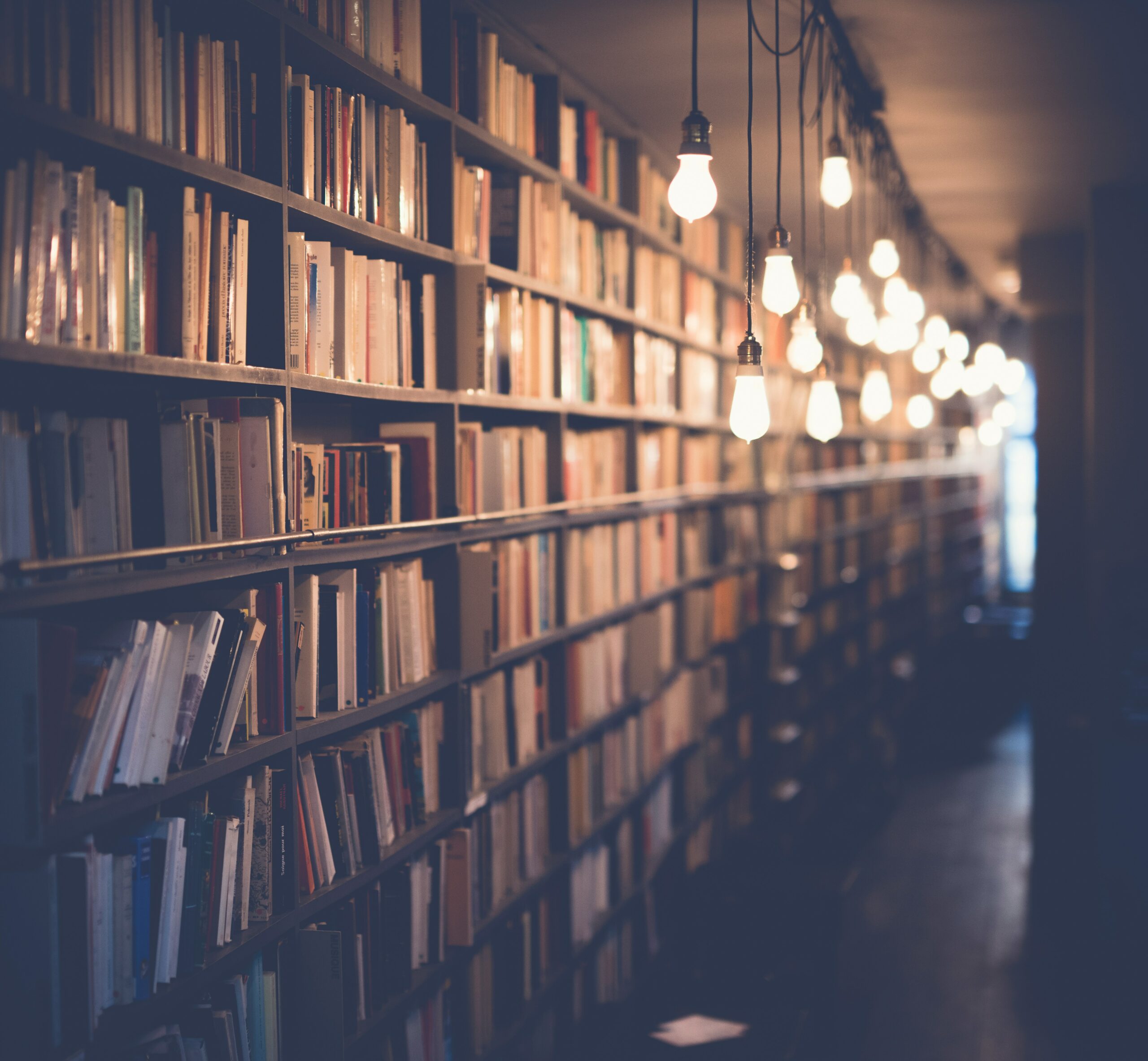 Shifting Perspectives: Old and New Media