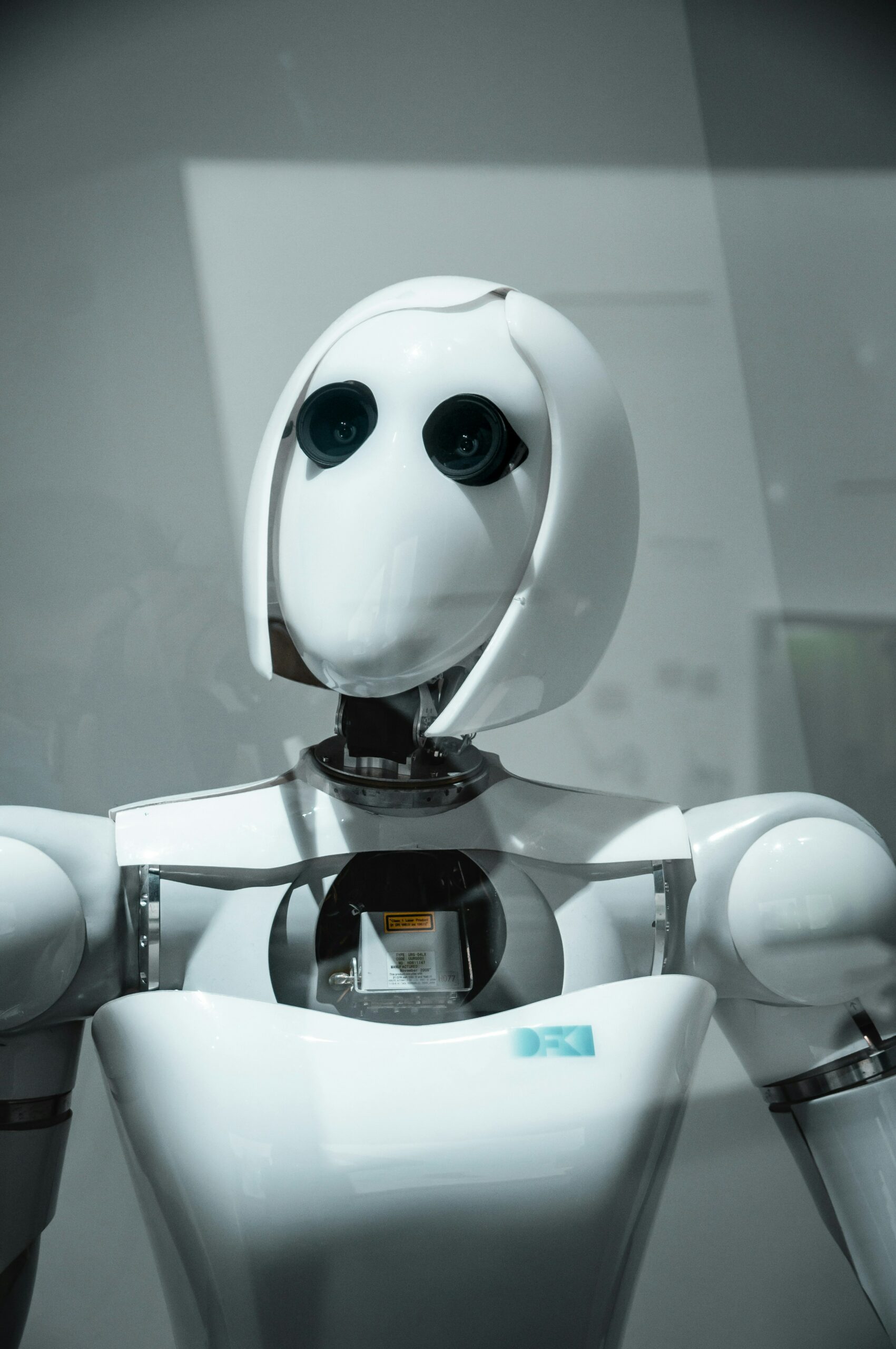 Black and white female robot.