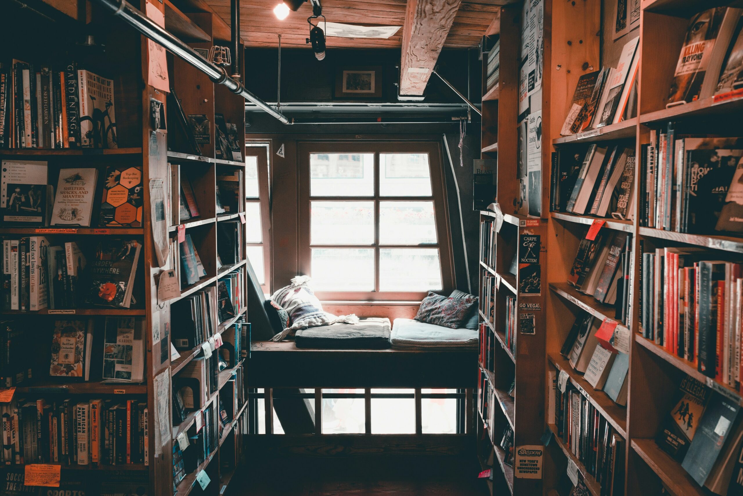Image of numerous books in a cozy space