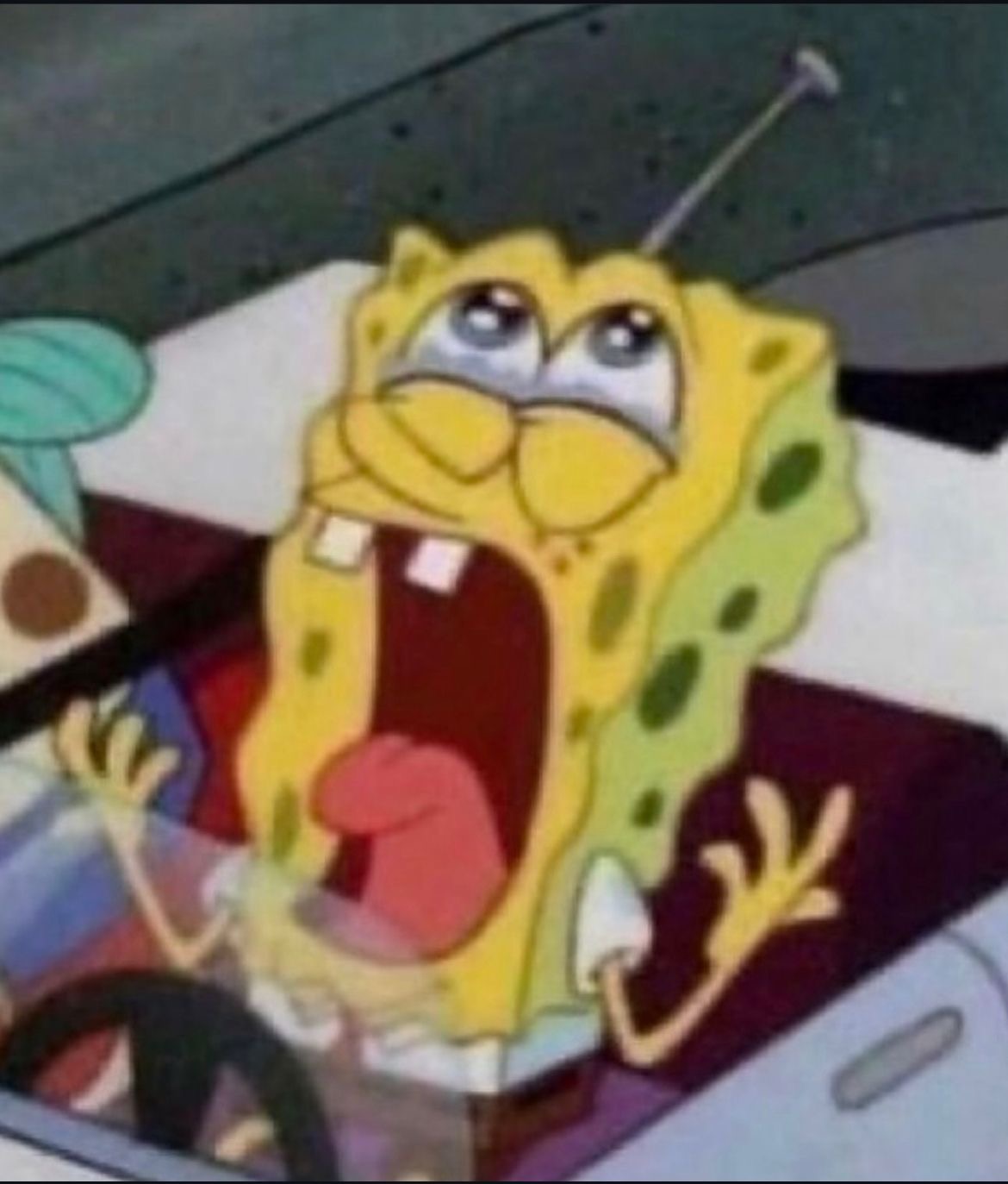 A sponge yelling and crying out to the air.