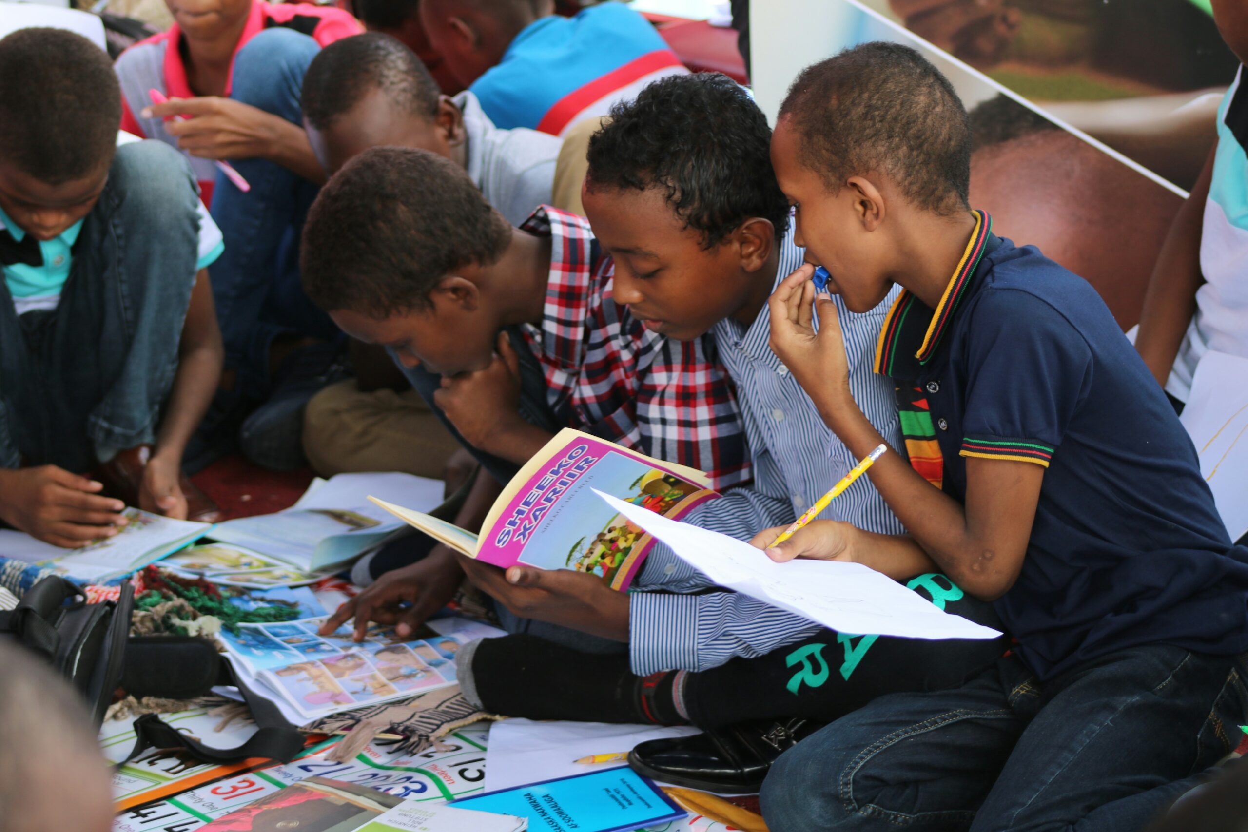 Literacy at Risk: The Internet is the Bad Place.