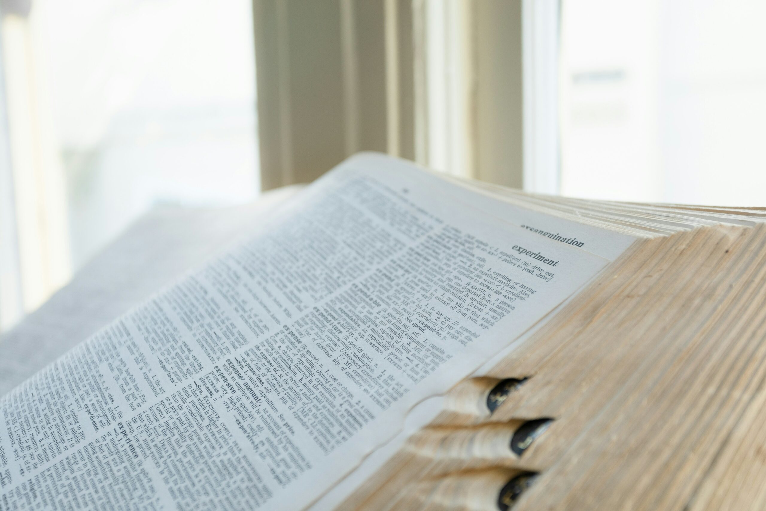 Understanding New Media: Definitions and Interpretations