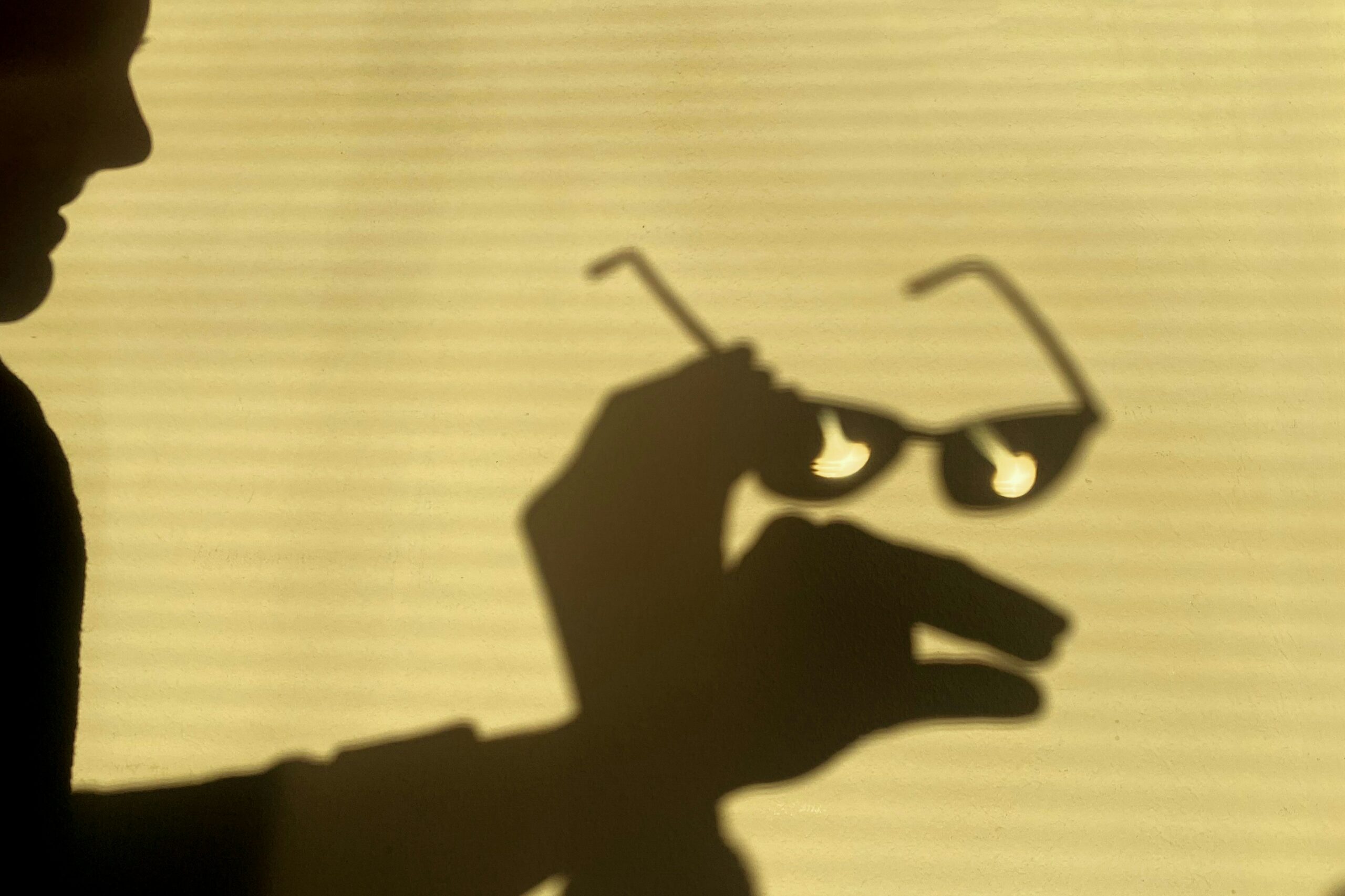 A person is making a shadow figures with their hand and glasses. The background is a dull yellow.