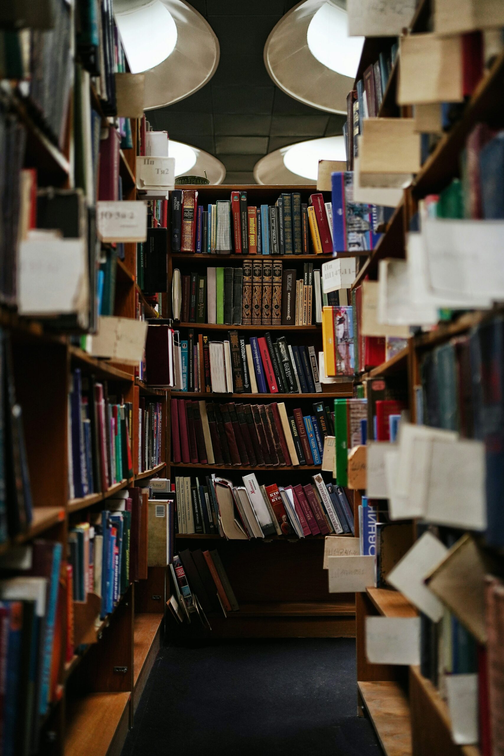 Shelves of books stacked up