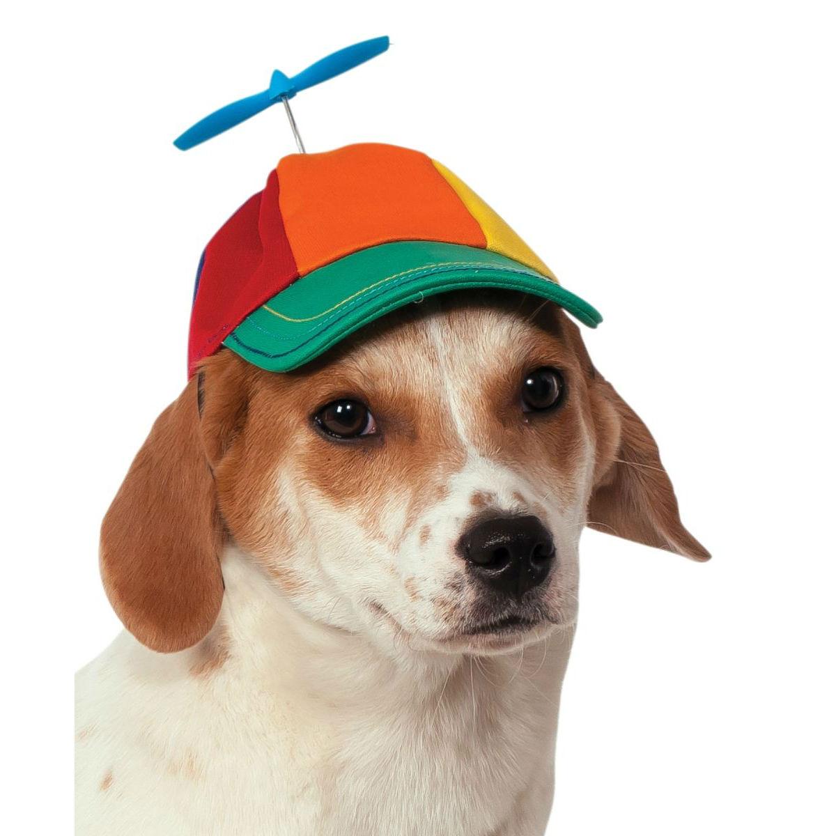 Dog wearing a propeller hat