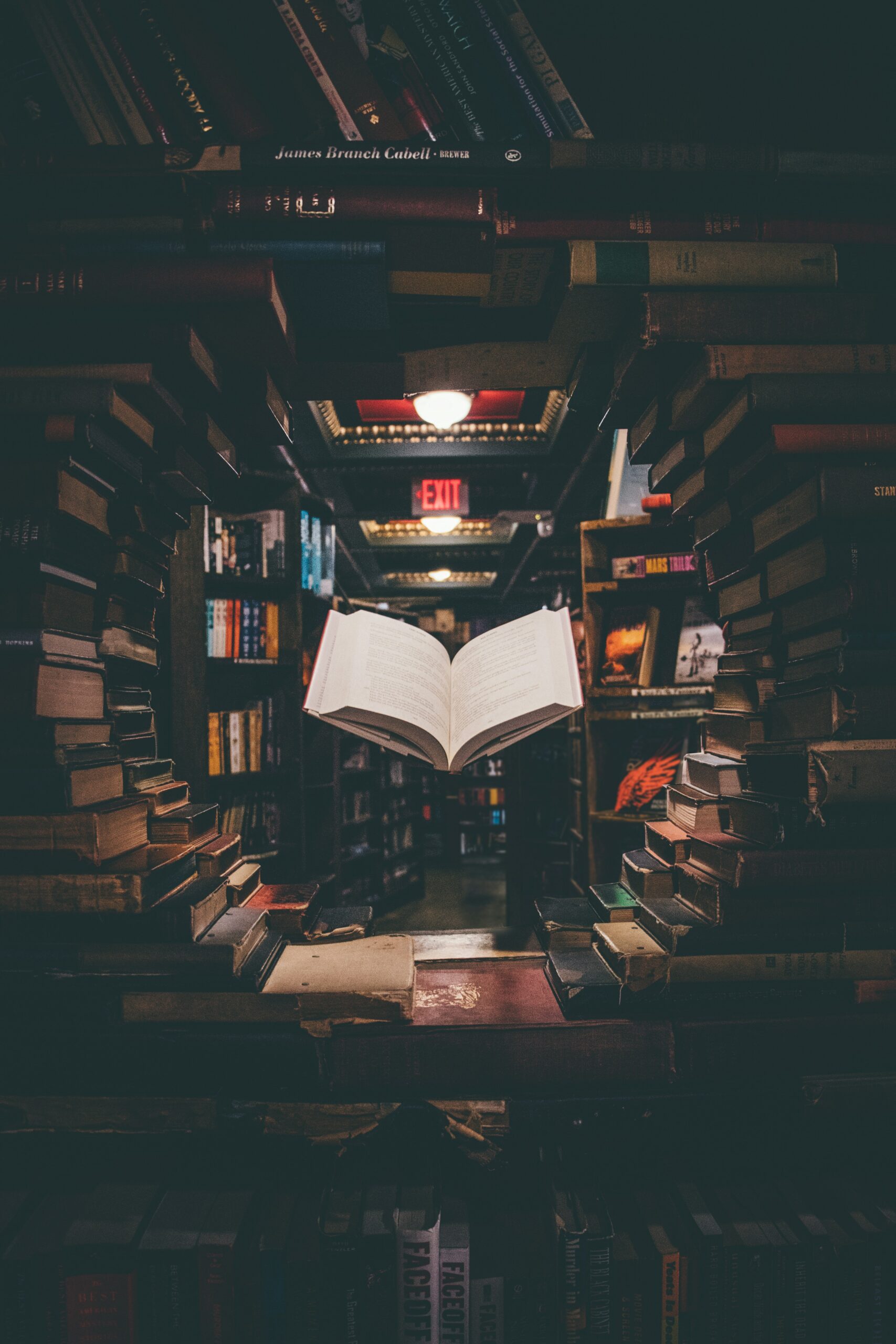 Wk4 Blog: Old Media, New Media, and Knowledge 